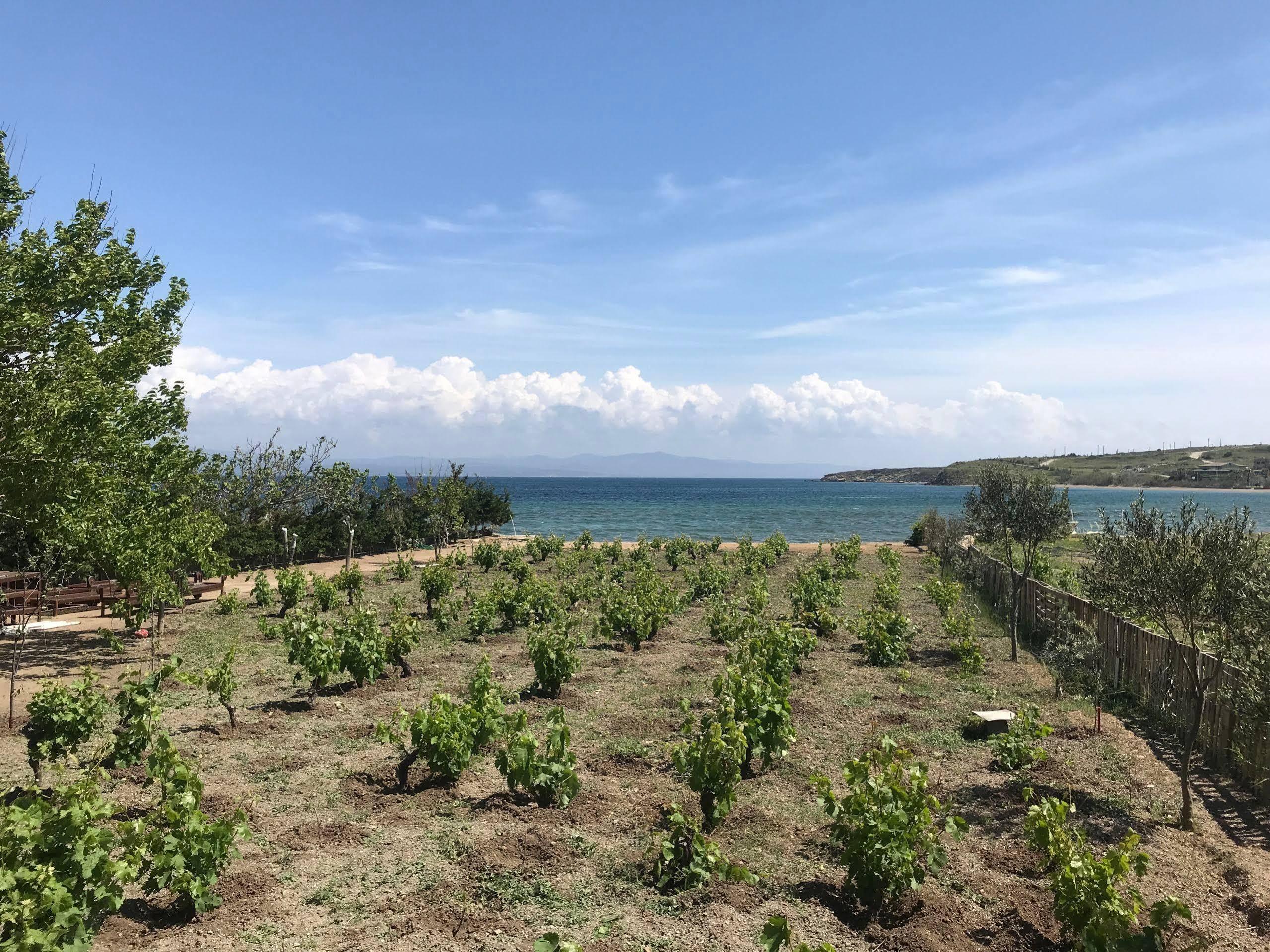 Arsipel Otel Bozcaada Luaran gambar